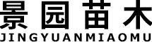 太原市大唐明杰模型有限公司