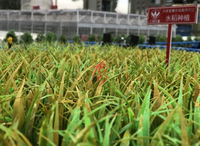 水產養殖區